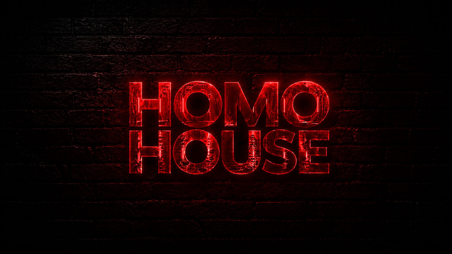 HOMO HOUSE